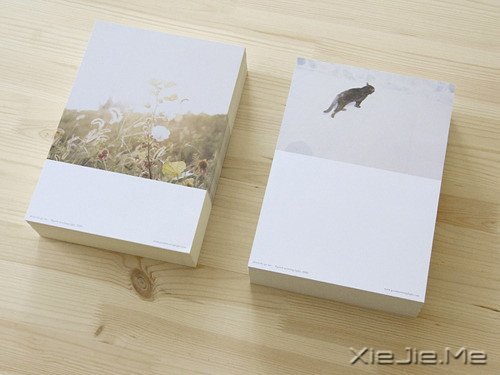 心似莲开，清风自来 (3)