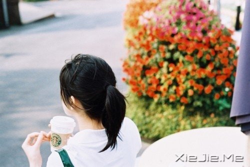 心似莲开，清风自来 (4)