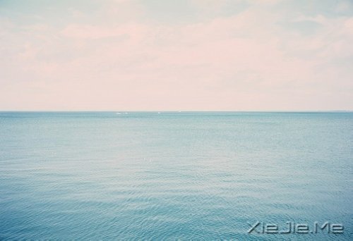 心似莲开，清风自来 (9)