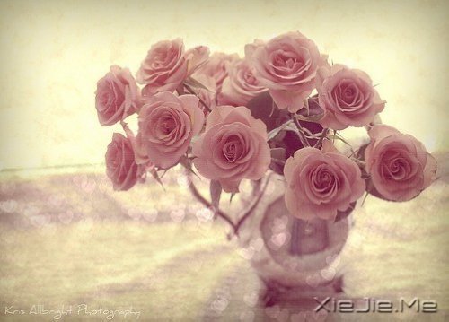 找一个理由，去否认忧伤 (2)