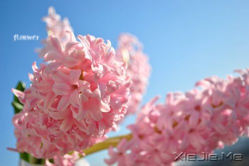 找一个理由，去否认忧伤 (6)