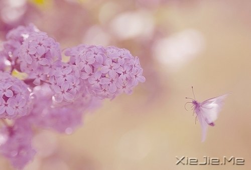 找一个理由，去否认忧伤 (10)