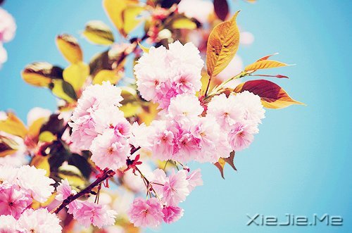 只要内心不乱，外界就很难改变你什么 (1)