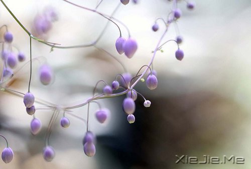 只要内心不乱，外界就很难改变你什么 (9)