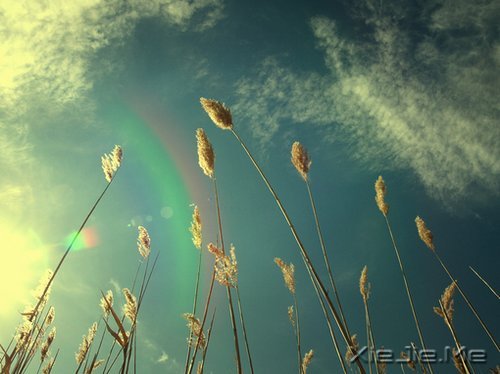 晚安心语：远处的是风景，近处的才是人生 (2)