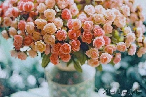 早安心语：宠爱自己，才是最重要的 (5)