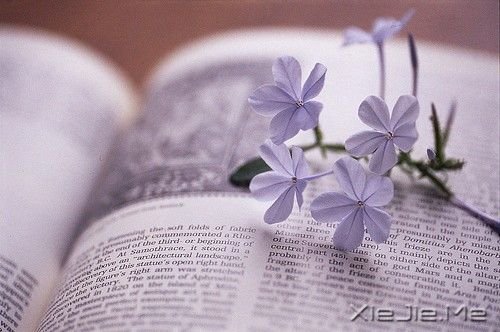 早安心语：不要让不安的情绪腐蚀了明媚的心 (4)