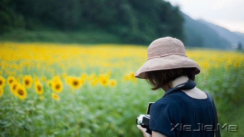 晚安心语：有些事，只有自己懂 (1)