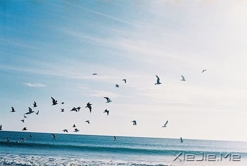 早安心语：人生有多残酷，你就该有多坚强 (1)