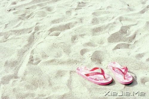早安心语：请别伤我的心，那里面住的是你 (1)