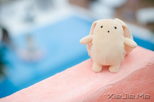 早安心语：看清自己比读懂他人更重要 (9)