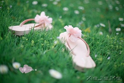 早安心语：日久不一定生情，但必定见人心 (5)