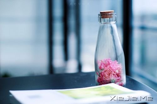 晚安心语：很多事情，自己知道就好 (10)