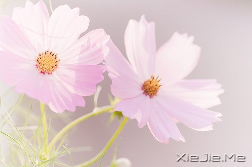 经典语录：与其埋怨世界，不如改变自己 (1)