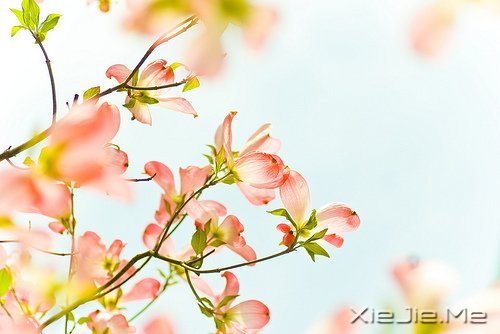 经典语录：与其埋怨世界，不如改变自己 (2)