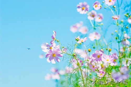 经典语录：与其埋怨世界，不如改变自己 (3)