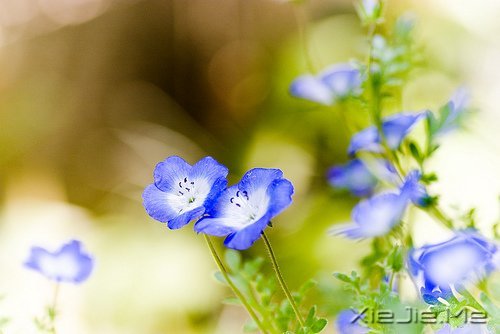 经典语录：与其埋怨世界，不如改变自己 (4)
