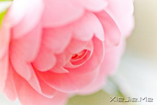 经典语录：与其埋怨世界，不如改变自己 (5)