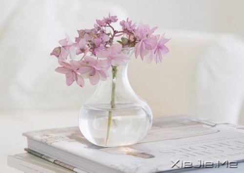 经典语录：与其埋怨世界，不如改变自己 (6)