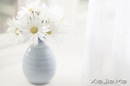 经典语录：与其埋怨世界，不如改变自己 (7)
