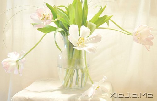 经典语录：与其埋怨世界，不如改变自己 (8)