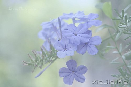 经典语录：与其埋怨世界，不如改变自己 (9)