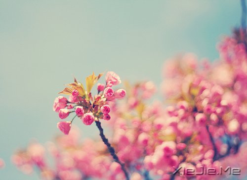 经典语录：与其埋怨世界，不如改变自己 (11)