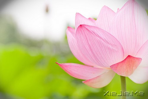 经典语录：与其埋怨世界，不如改变自己 (12)