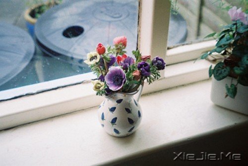 心是我的，可里面装的全是你